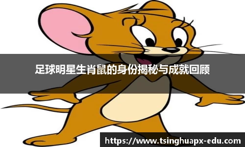 足球明星生肖鼠的身份揭秘与成就回顾