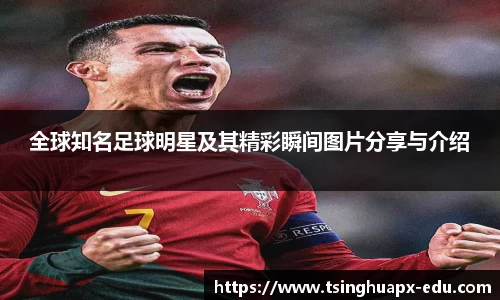 杏耀注册代理平台官网